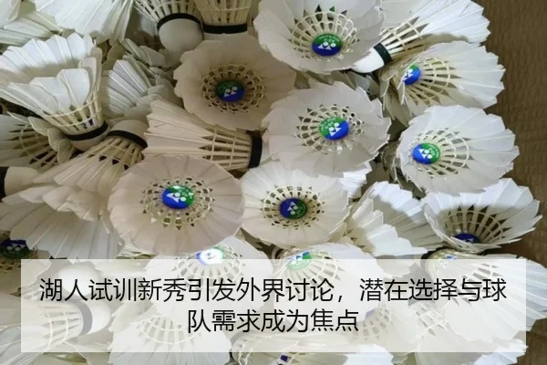 湖人试训新秀引发外界讨论，潜在选择与球队需求成为焦点 | hth